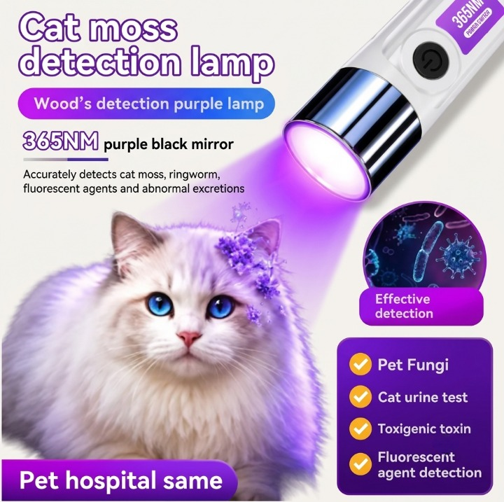 Portable UV Detection Light