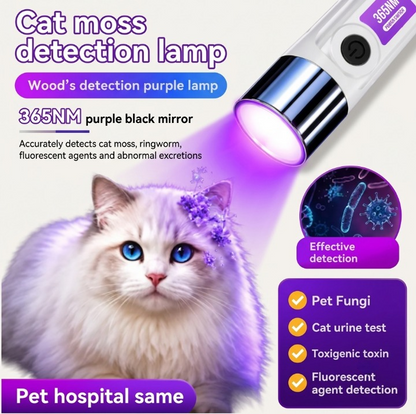 Portable UV Detection Light